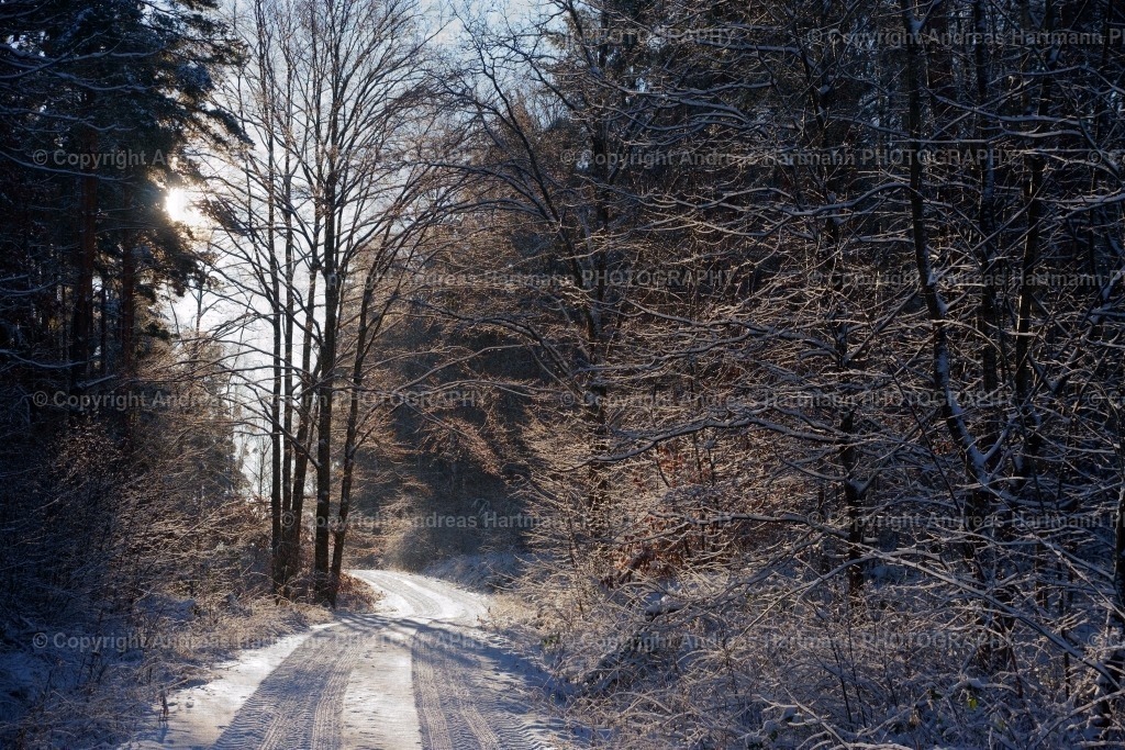 Winterimpressionen | Winterimpressionen Waldweg - Realisiert mit Pictrs.com