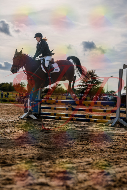 2026_10_03_Siefer-Hof_161019_Z63_12842650 | Professionelle Reitsport-, Turnier- und Eventfotografie von Robert Broda. Galerien mit ausgewählten und bearbeiteten Bildern direkt online ansehen und bestellen.