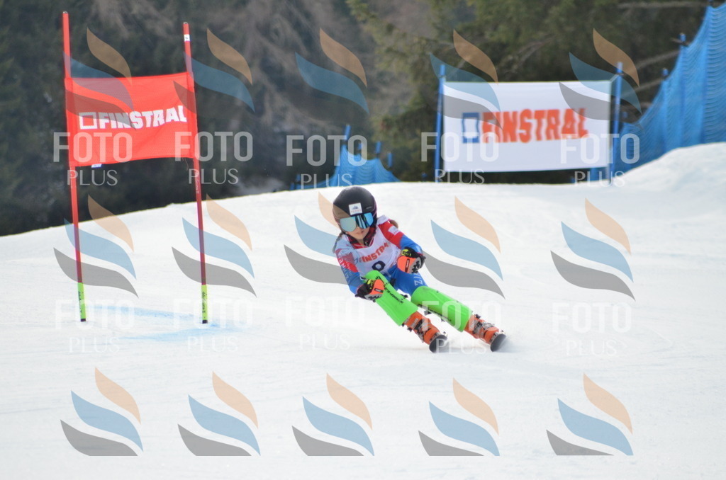 B6699 | holidayphoto