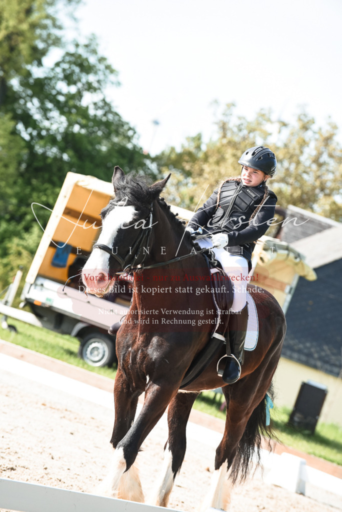 20230518_JK-Röhrsdorf-09-0917 | Pferde- und Turnierfotografie in Westsachsen. Pferdeportraits, Auftragszeichnungen und intuitive Kunst.