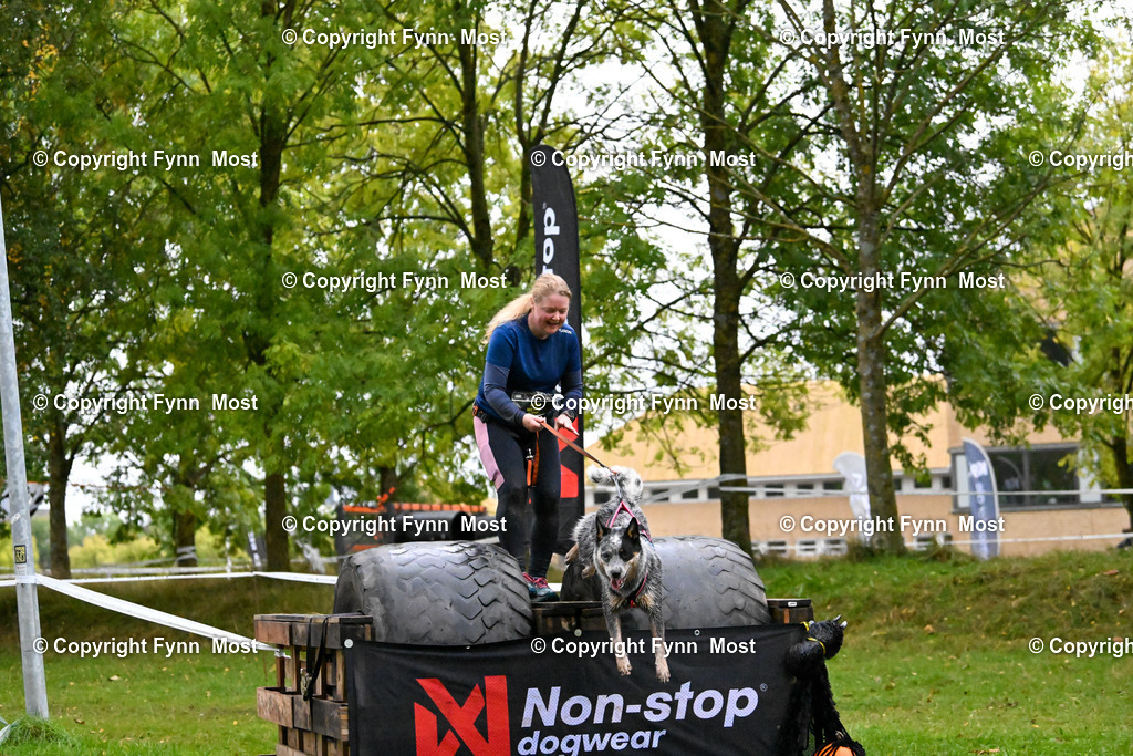 DSC_2252 | Hallo und herzlich Willkommen auf meiner Shop-Seite Fynn Most.

Ich wünsche Dir viel Spaß beim stöbern durch die Bilder, wenn Du Fragen hast oder Bilder vermisst, kannst du mir gerne eine Nachricht schreiben. - Realisiert mit Pictrs.com