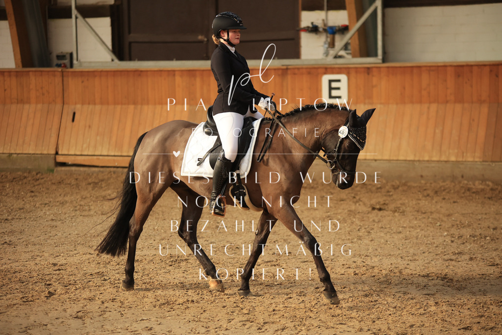 IMGT1939 | pl-fotografie