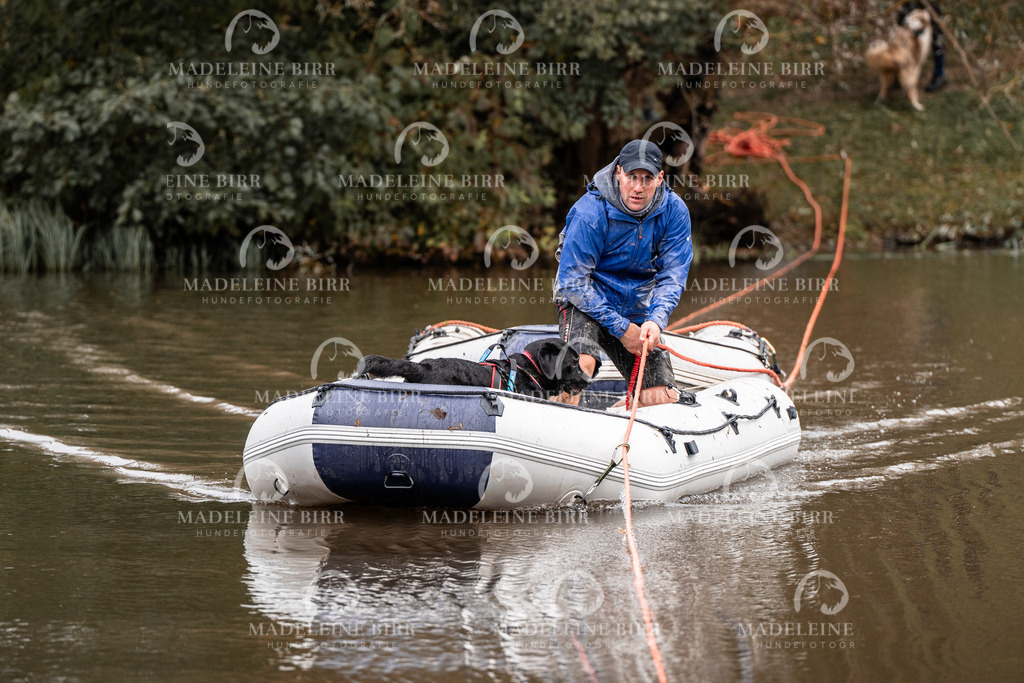 madeleinebirr-fotografie2025.campcanis.11-12Uhr-57 | hundefotografie-birr