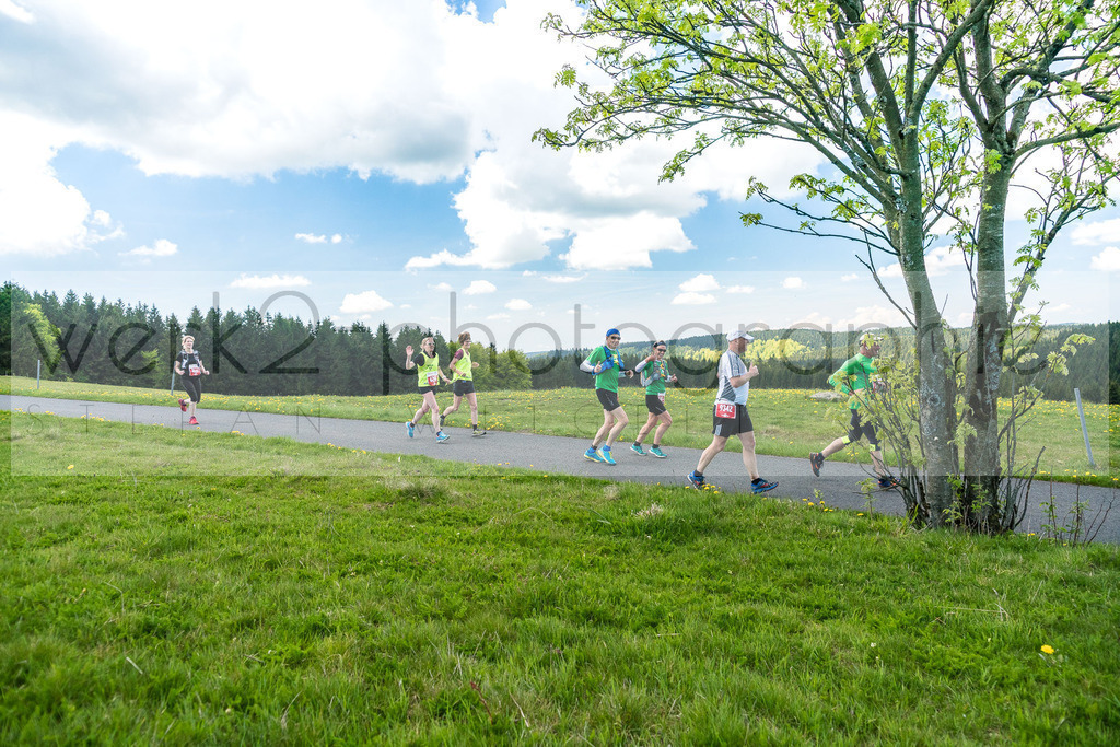 Rennsteiglauf 2019 | Marathon Neuhaus/Rwg. - Schmiedefeld am 18. Mai 2019