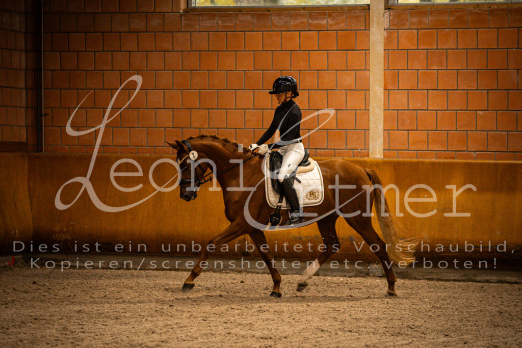1Reiten00119 | Leoni Ertmer Photography - Realisiert mit Pictrs.com