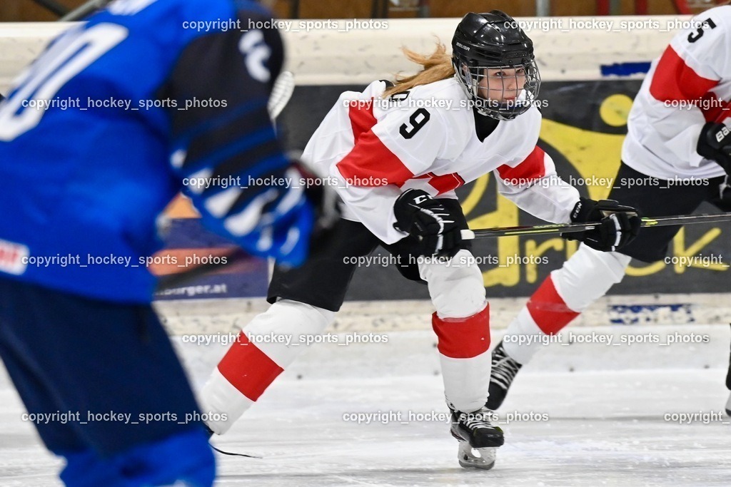 BST_3301 | hockey sports photos, Pressefotos, Sportfotos, hockey247, win 2day icehockeyleague, Handball Austria, Floorball Austria, ÖVV, Kärntner Eishockeyverband, KEHV, KFV, Kärntner Fussballverband, Österreichischer Volleyballverband, Alps Hockey League, ÖFB, 