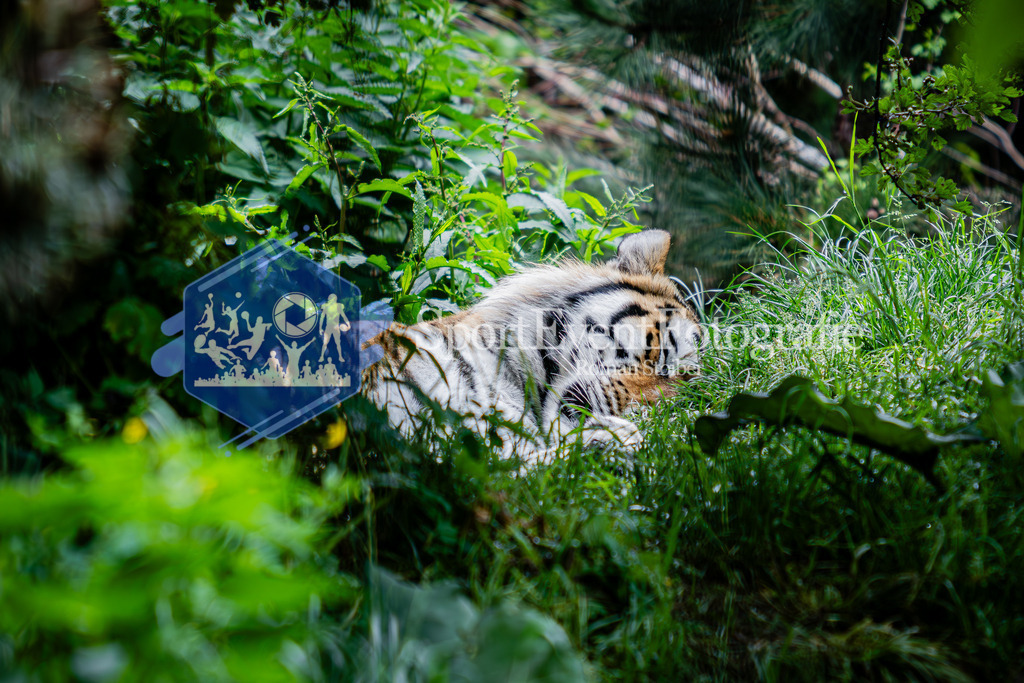 IMG_6132 | SportEventFotografie - Roman Stoiber