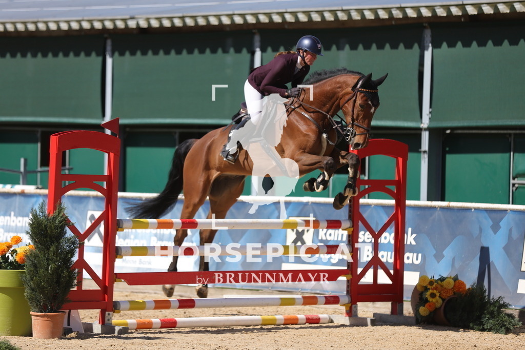 0P6A8873 | Willkommen bei Brunnmayr - Design & Fotografie – Ihrem Spezialisten für Reitturniere und Pferdeveranstaltungen in Oberösterreich, Salzburg und Bayern! Seit über 17 Jahren sind wir leidenschaftlich dabei.