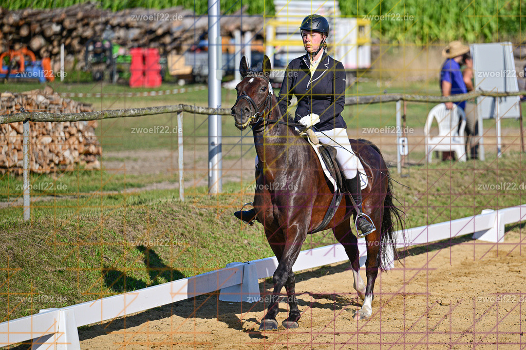 30 Jahre RFV Pulsnitz e.V., Pulsnitz am 09.08.2026 | Zur 28. breitensportlichen Veranstaltung des RFV Pulsnitz e.V. fanden verschiedene Wettbewerbe in nahezu allen Disziplinen des Pferdesport statt. - 04 Großer Dressur-Wettbewerb - Realisiert mit Pictrs.com