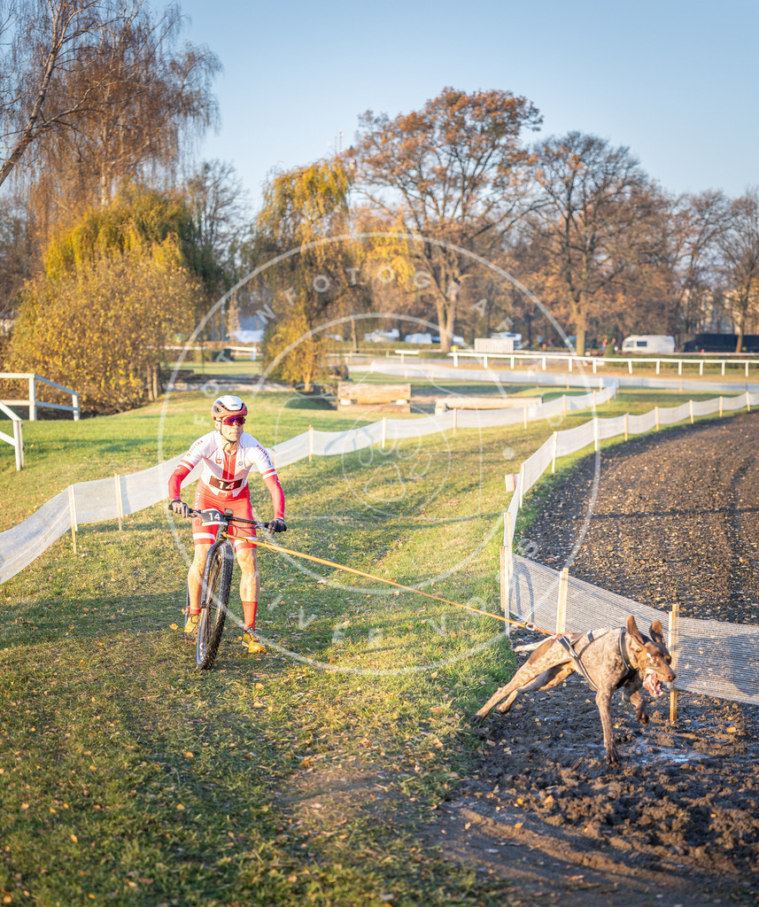 CaniXpix_DV3A9538 | Hundefotografie, Tierfotograf, Pfotenfotografie, Fotoshooting Hund, Hunde Portrait, Hundesport, Hundeportraits, Heideshooting, Hunde, Sportfotograf, Hundefotograf, Turnierhundsport, THS,  - Realisiert mit Pictrs.com