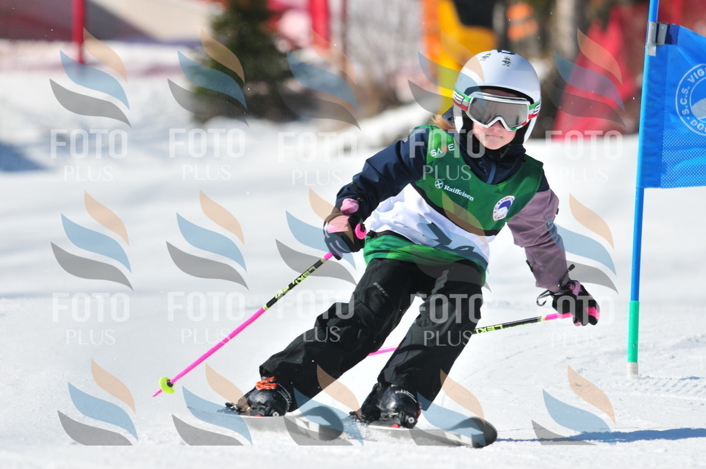 C3049 | holidayphoto