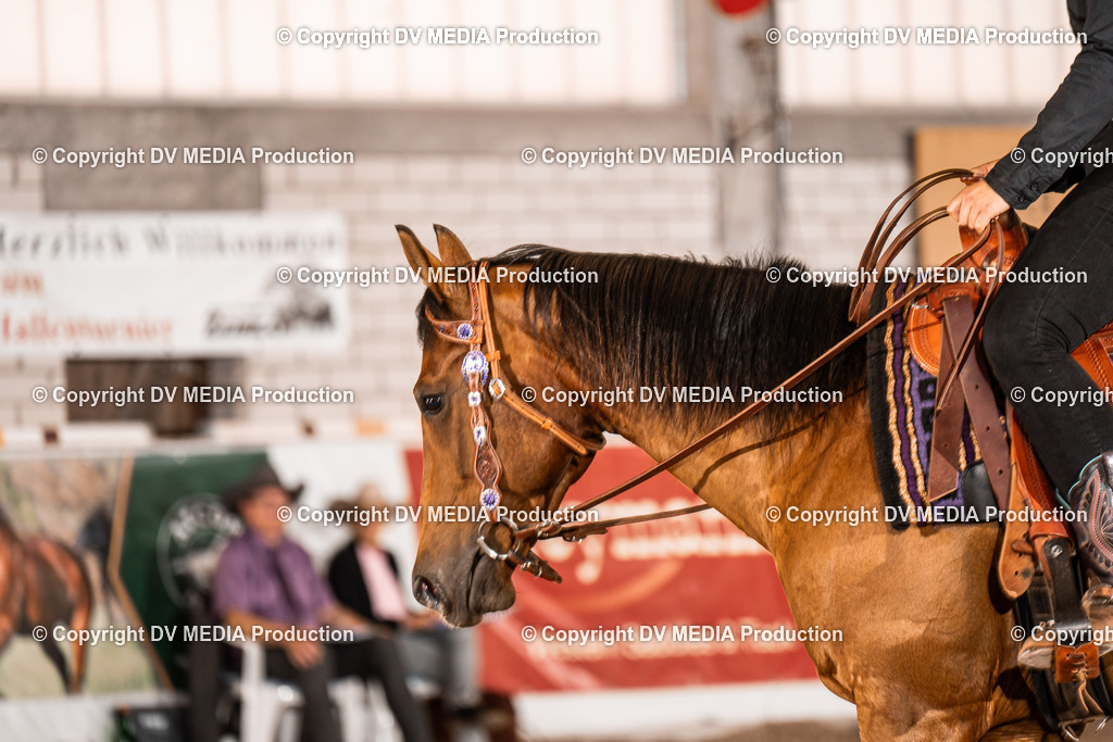 ZH200337 | dv-media-shop - Realisiert mit Pictrs.com