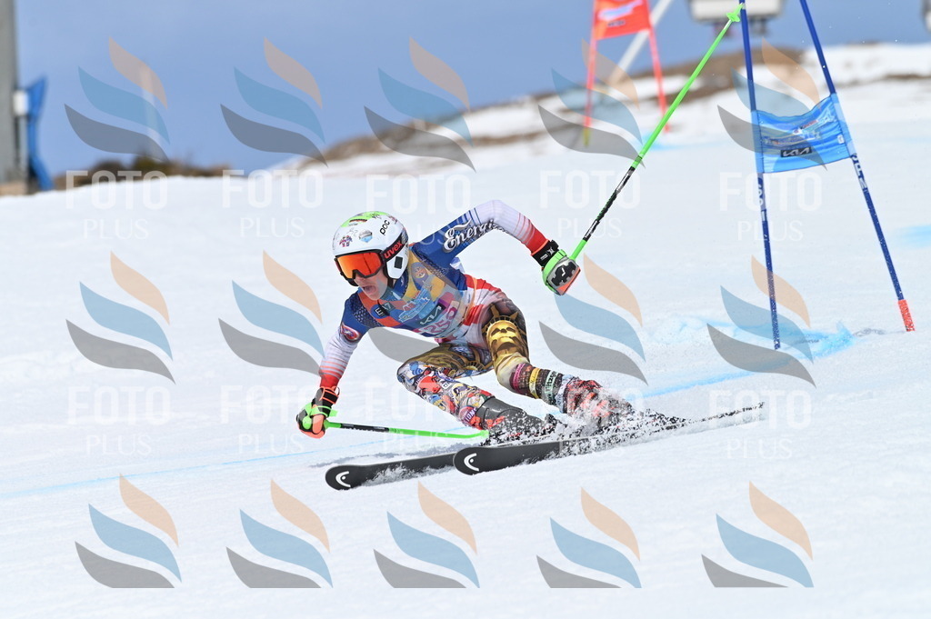 BGV_1946 | holidayphoto