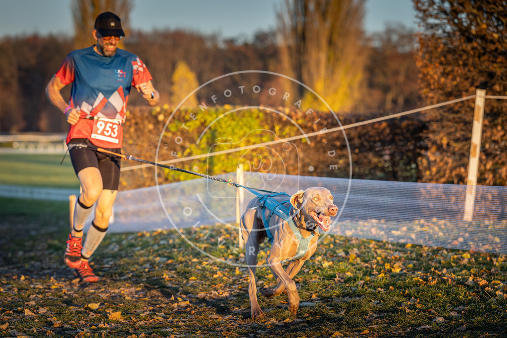 CaniXpix_DV3A5686 | Hundefotografie, Tierfotograf, Pfotenfotografie, Fotoshooting Hund, Hunde Portrait, Hundesport, Hundeportraits, Heideshooting, Hunde, Sportfotograf, Hundefotograf, Turnierhundsport, THS,  - Realisiert mit Pictrs.com