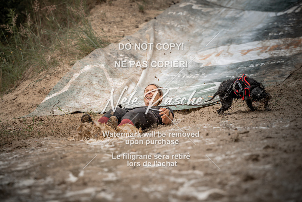 nelerasche_sa1200-1230_244 | nelerasche