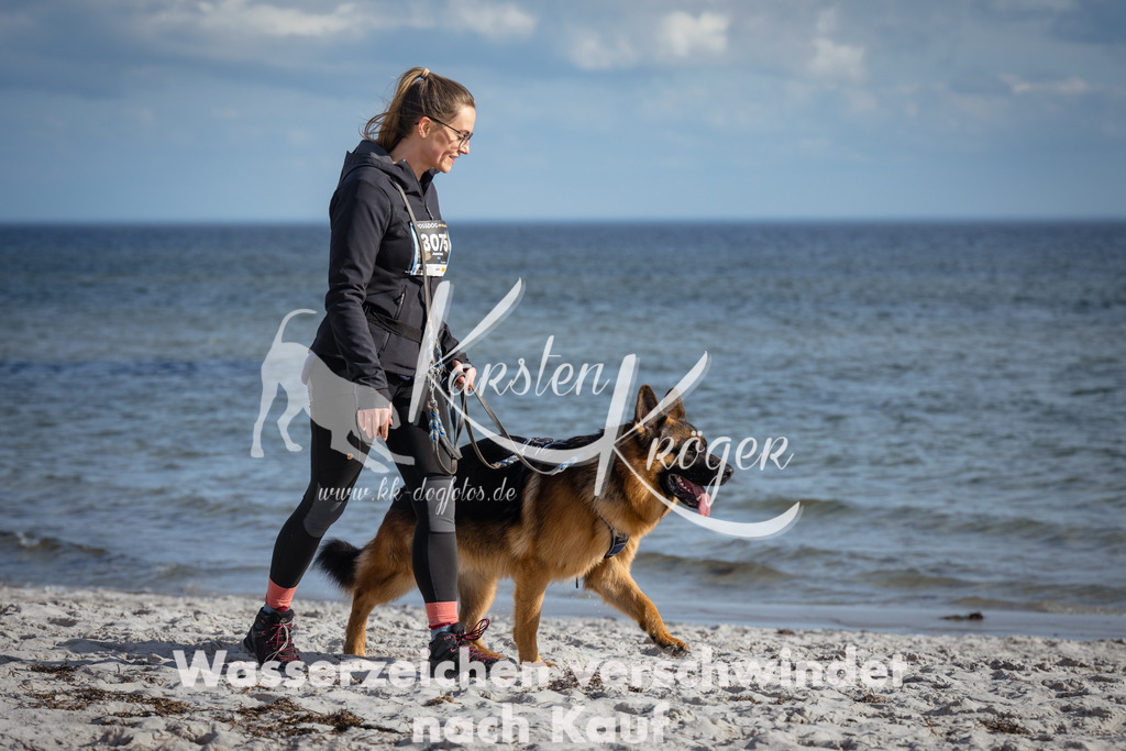 1353_ZZ94312 | kk-dogfotos