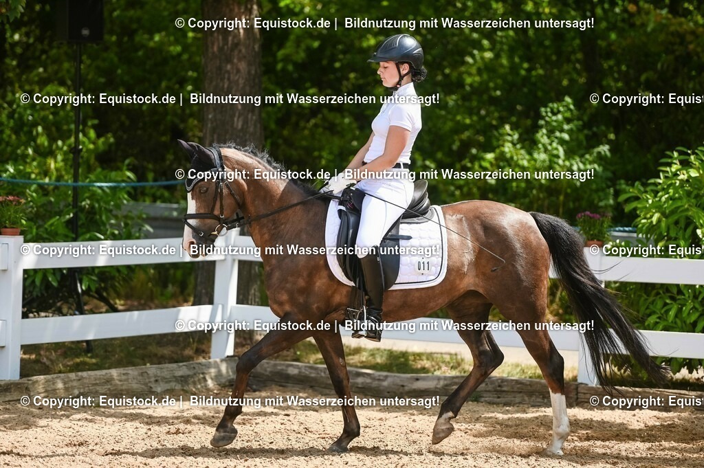 20230715_09_Dressur-WB_0144 | equistock