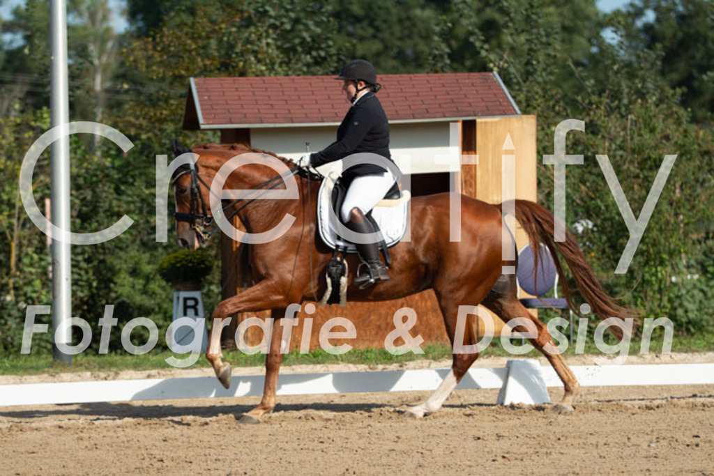 IMG_0445 | Creatify Fotografie