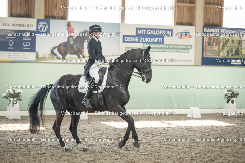 _D5A2114 | Emotionale Pferde- & People-Fotografie rund um Heidelberg, Leimen & Umgebung. Natürliche Fotos von Pferd, Mensch & Familie. Jetzt Termin sichern!