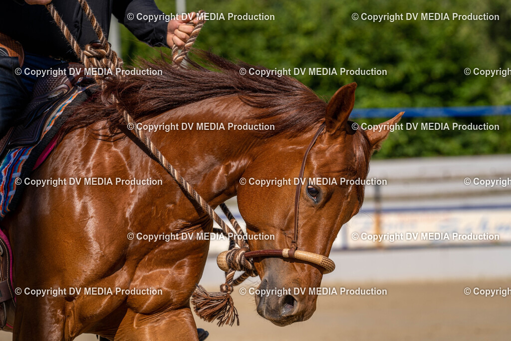 Zeiskam Tag 2-266 | dv-media-shop - Realisiert mit Pictrs.com