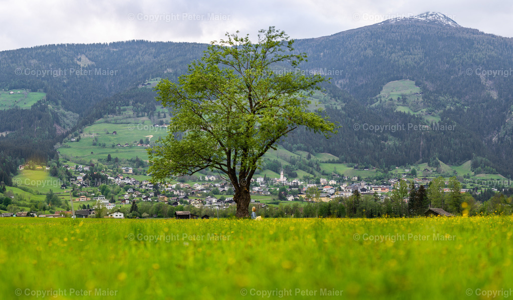 Winklern_Frühling-47 | piet_flosse