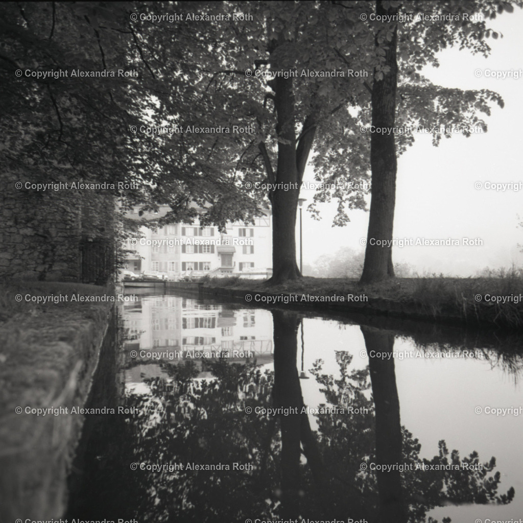 Aarau_740 | onlineshop - Realisiert mit Pictrs.com