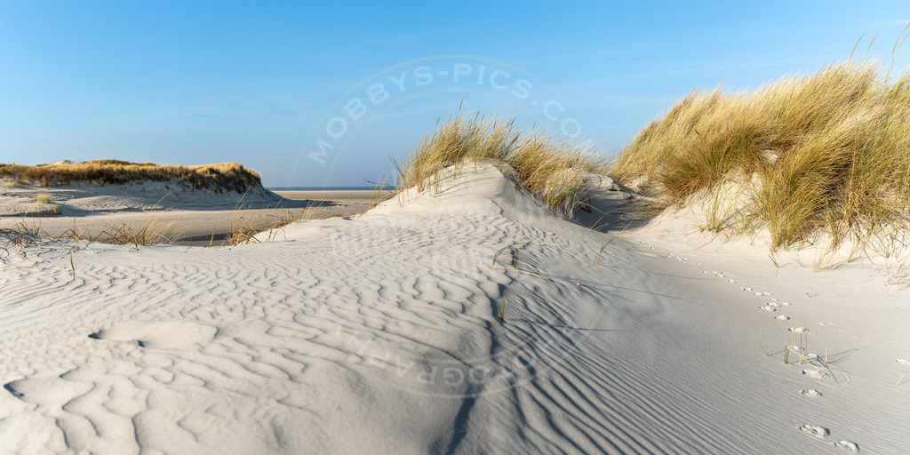 Dünenpanorama in Ording | Dünenpanorama an der Nordsee