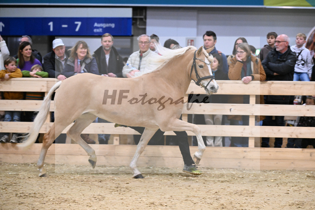Schauprogramm_DSP Daria_1260970 | hf-fotografie - Realisiert mit Pictrs.com