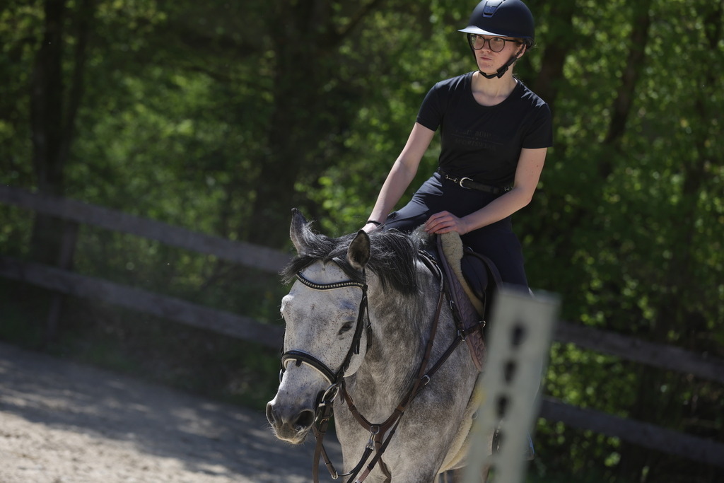 0P6A8840 | Willkommen bei Brunnmayr - Design & Fotografie – Ihrem Spezialisten für Reitturniere und Pferdeveranstaltungen in Oberösterreich, Salzburg und Bayern! Seit über 17 Jahren sind wir leidenschaftlich dabei.