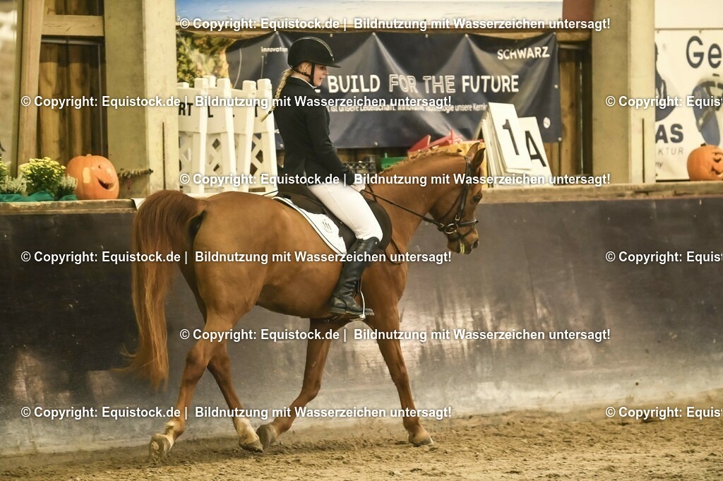 02_Dressurreiter_A_0376 | Foto: Thomas Hartig
