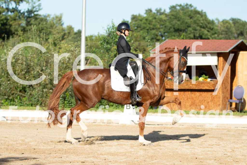 IMG_5804 | Creatify Fotografie