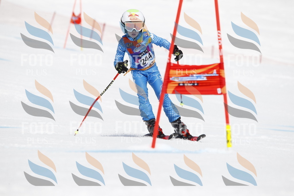 _U3G6170 | holidayphoto