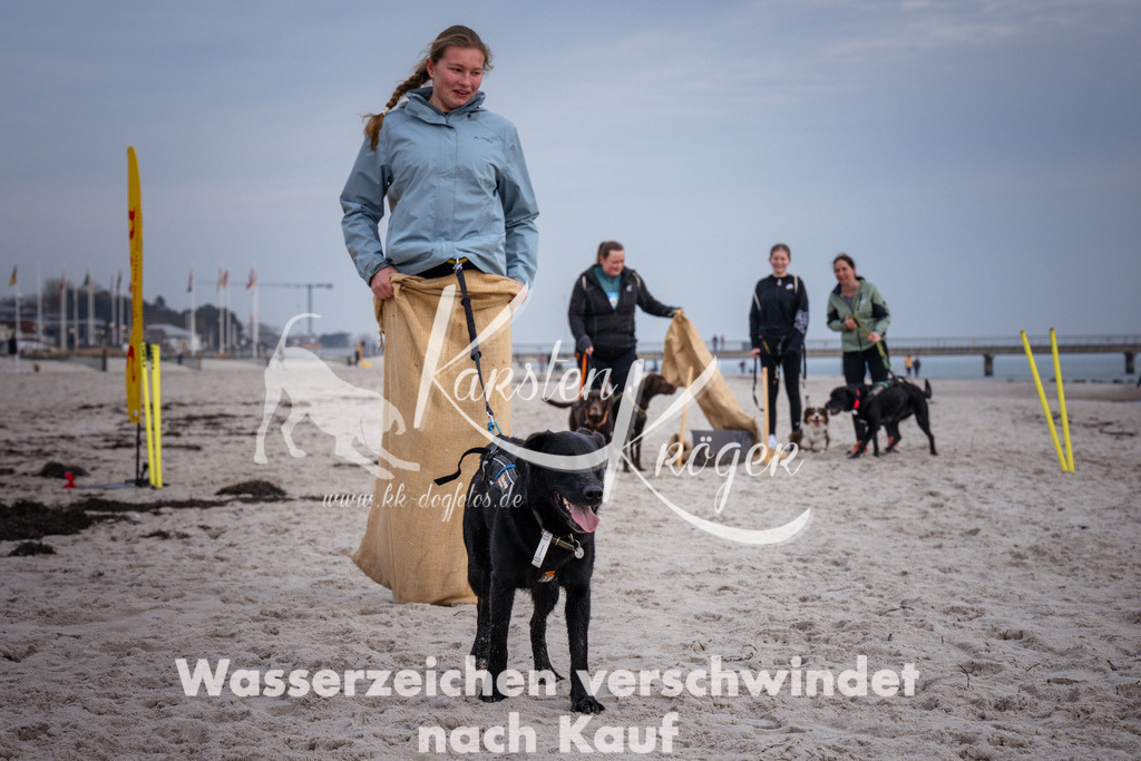 1259_ZZ97528 | kk-dogfotos