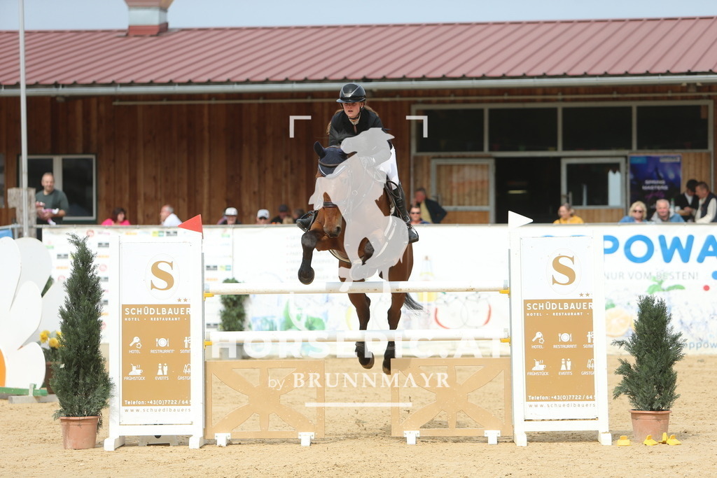 DL2Q2706 | Willkommen bei Brunnmayr - Design & Fotografie – Ihrem Spezialisten für Reitturniere und Pferdeveranstaltungen in Oberösterreich, Salzburg und Bayern! Seit über 17 Jahren sind wir leidenschaftlich dabei.