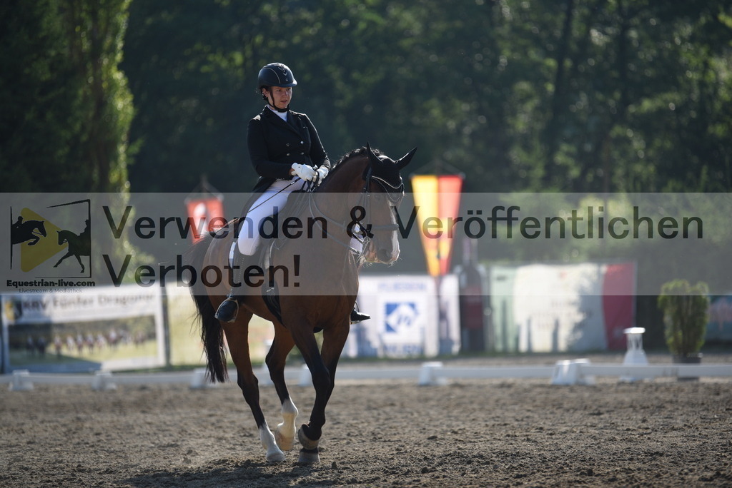 DSC_3117 | equestrian-live-com