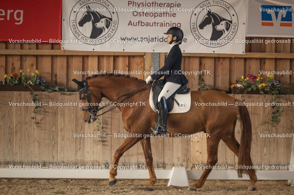 _D5A3190 | Emotionale Pferde- & People-Fotografie rund um Heidelberg, Leimen & Umgebung. Natürliche Fotos von Pferd, Mensch & Familie. Jetzt Termin sichern!