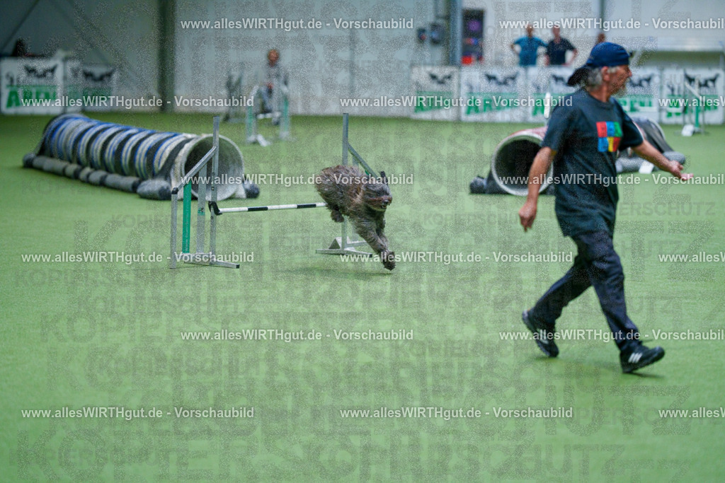 @allesWIRTHgut_Tierfotografie - www.allesWIRTHgut.de - 2604251004-7R509575 | Professionelle Tierfotografie in Mönchengladbach von Daniel Wirth (allesWIRTHgut). Liebevolle & natürliche Bilder von Hunden & Katzen für unvergessliche Erinnerungen.