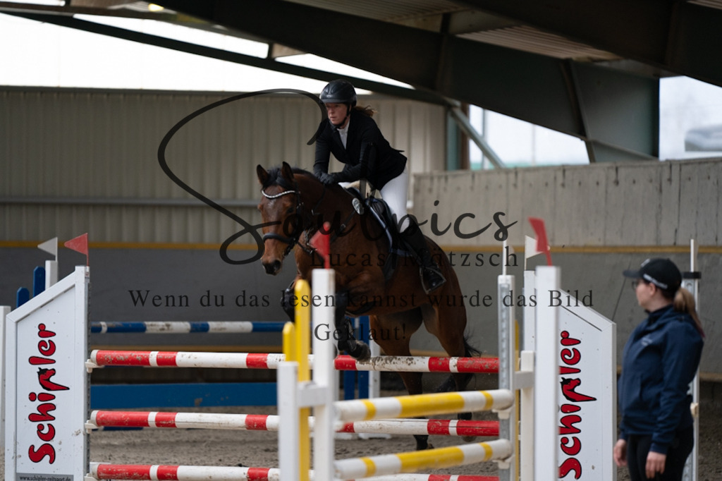 A7V08630 | Pferdefotograf