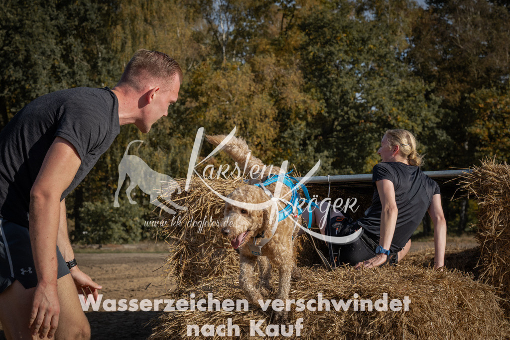 1100_ZZ99811 | kk-dogfotos