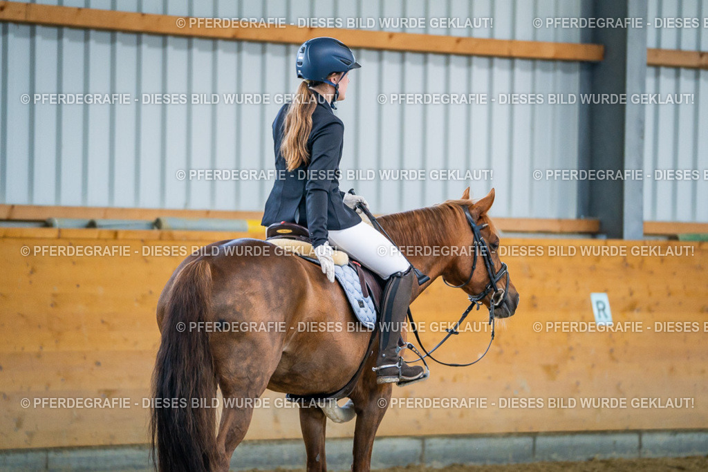 DSC01118 | Pferdegrafie