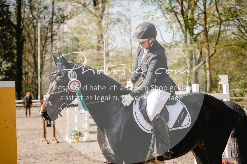 3I6A3804 | Stimmungsvolle Portraits und Reitsportfotografie im Ruhrgebiet und im Münsterland.

Pferdefotografie, Hundefotografie, Tierfotografie, Reportagen, Portraits von Tier und Mensch, Turnierfotografie in Bochum, Recklinghausen, Marl, Haltern am See, Dülmen.. - Realisiert mit Pictrs.com