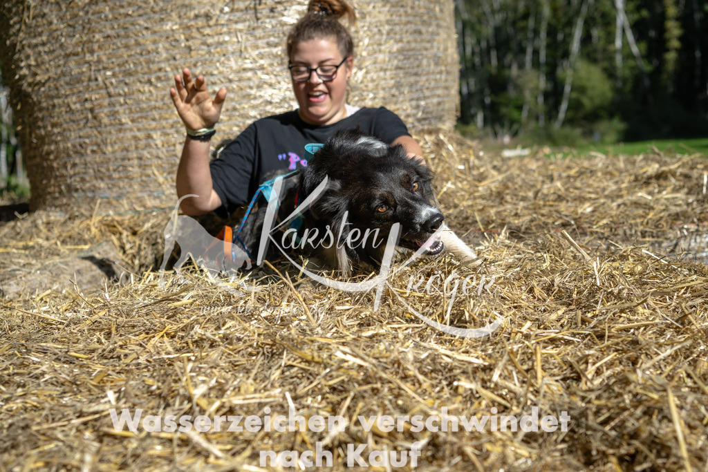 1209_ZZ90571-2 | kk-dogfotos