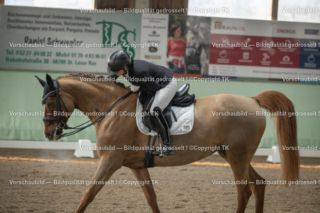 _D5A4005 | Emotionale Pferde- & People-Fotografie rund um Heidelberg, Leimen & Umgebung. Natürliche Fotos von Pferd, Mensch & Familie. Jetzt Termin sichern!