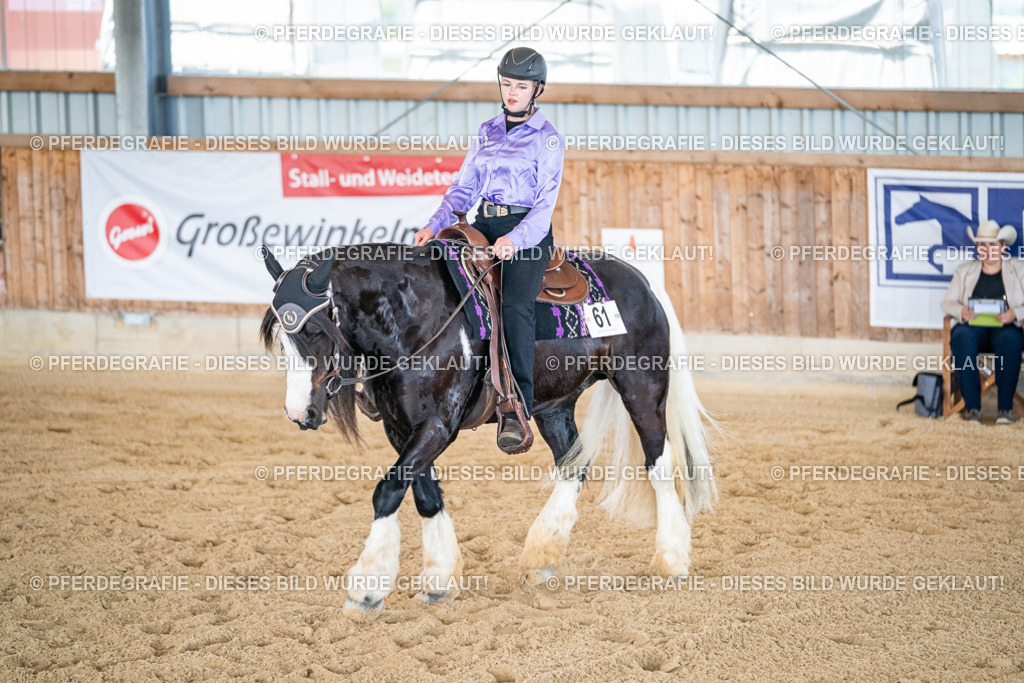 DSC03259 | Pferdegrafie