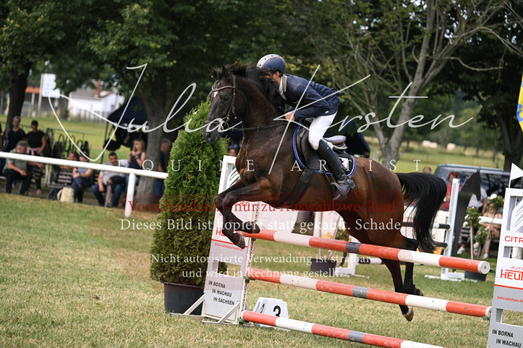 DSC_0631 | Pferde- und Turnierfotografie in Westsachsen. Pferdeportraits, Auftragszeichnungen und intuitive Kunst.