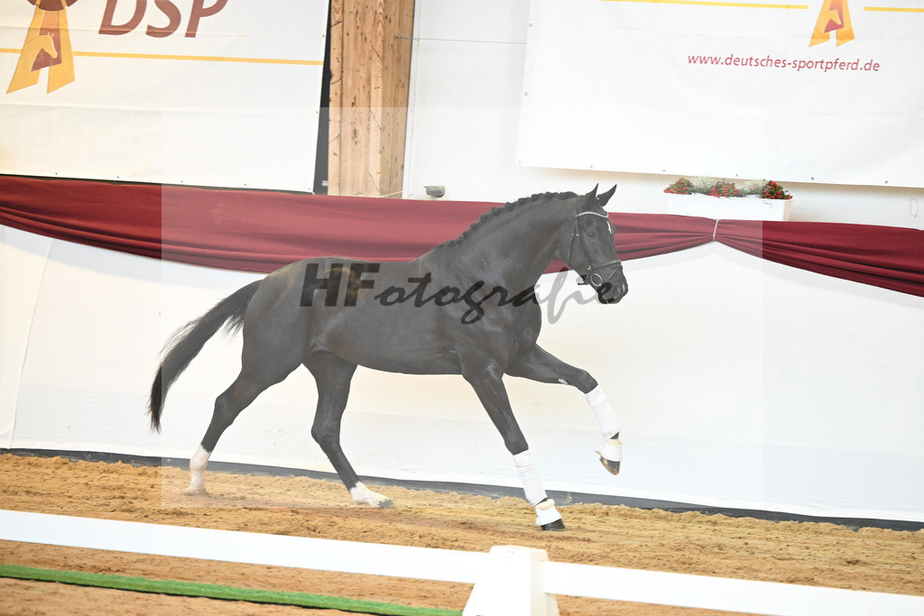 Kat-Nr. 22 v. Don Juan de Hus_Mueller_66220698 | hf-fotografie - Realisiert mit Pictrs.com