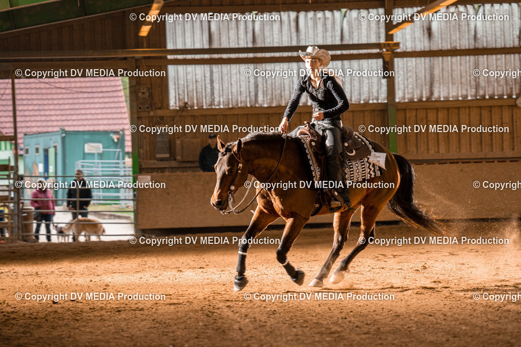 BA301373 | dv-media-shop - Realisiert mit Pictrs.com