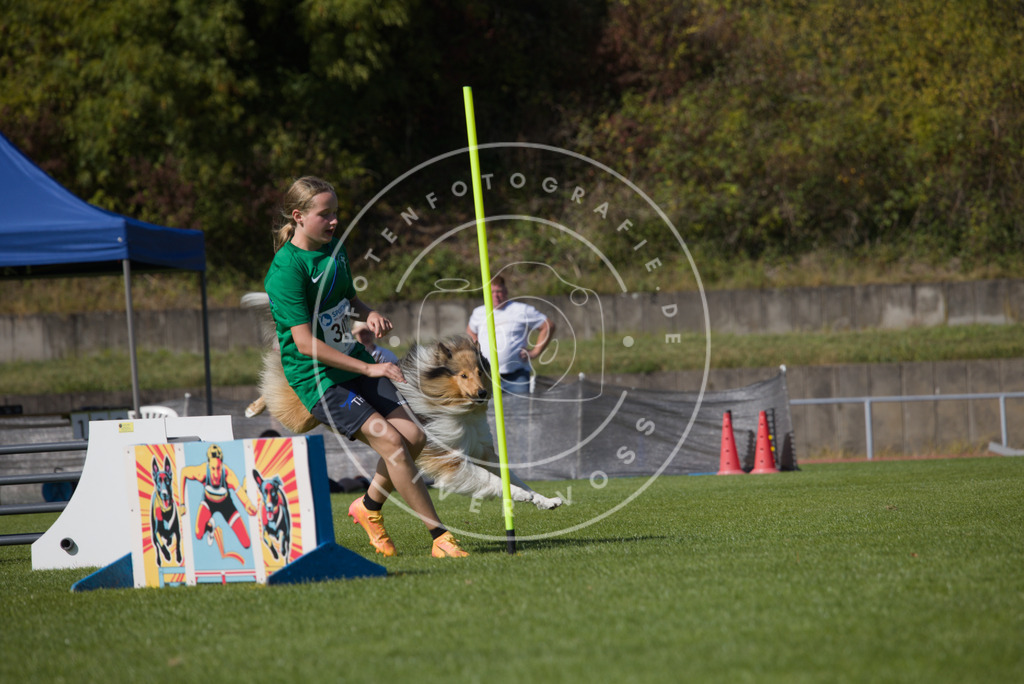 0L8A7694 | Hundefotografie, Tierfotograf, Pfotenfotografie, Fotoshooting Hund, Hunde Portrait, Hundesport, Hundeportraits, Heideshooting, Hunde, Sportfotograf, Hundefotograf, Turnierhundsport, THS,  - Realisiert mit Pictrs.com