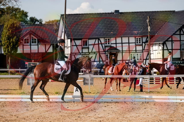 2026_10_03_Siefer-Hof_125534_Z63_62078407 | Professionelle Reitsport-, Turnier- und Eventfotografie von Robert Broda. Galerien mit ausgewählten und bearbeiteten Bildern direkt online ansehen und bestellen.