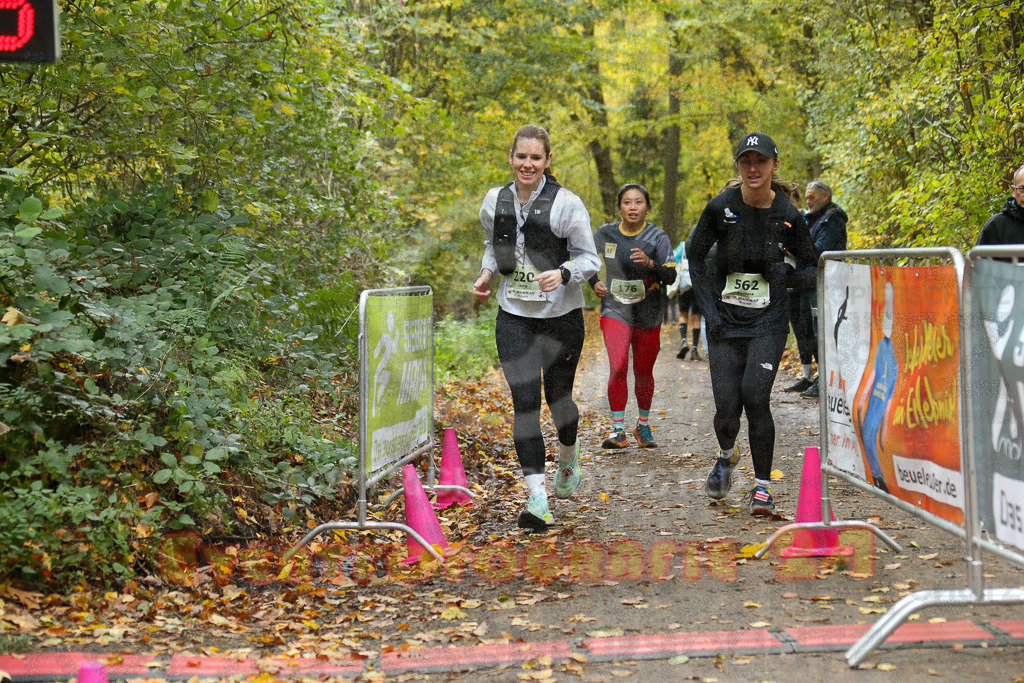 251026_1351_EX1_4003 | Sportfotografie im Rhein-Sieg Kreis, Köln, Bonn, NRW, Rheinland Pfalz, Hessen, etc. Unser Tätigkeitsfeld umfasst den Laufsport vom Volkslauf über den Marathon, Duathlon, Triathon bis zum Ultralauf wie Kölnpfad Ultra oder Schindertrail.
